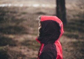 annie-spratt-qj4WhAd-mFw-unsplash