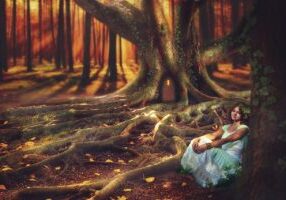 fantasy, forest, magic