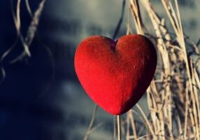 heart, love, ornament