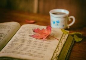 leaves, books, color