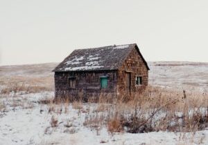 noah-buscher-L_bIb644eFk-unsplash