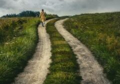 path, rural, nature-6567149.jpg