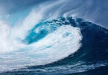 wave, ocean, sea